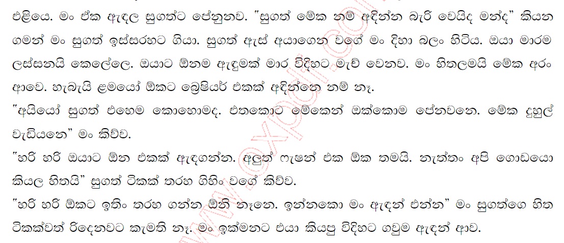 1712151553 662 16 walkatha9 Official සිංහල වල් කතා