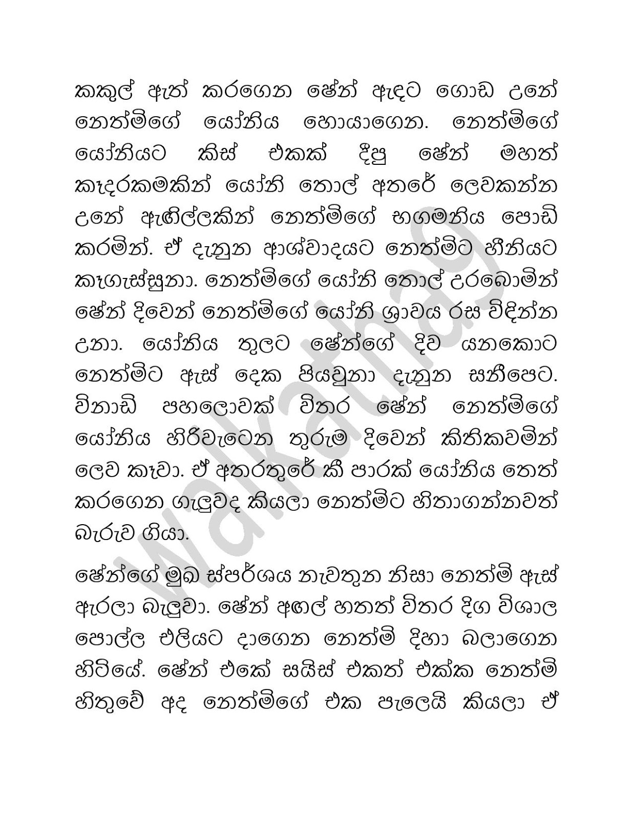 1712605512 423 Sihina+Ananthaya+06 page 012 walkatha9 Official සිංහල වල් කතා