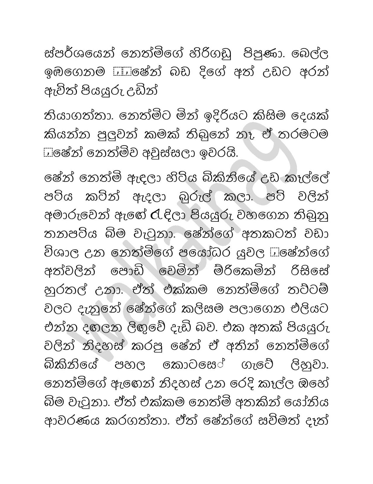 1712605512 665 Sihina+Ananthaya+06 page 010 walkatha9 Official සිංහල වල් කතා