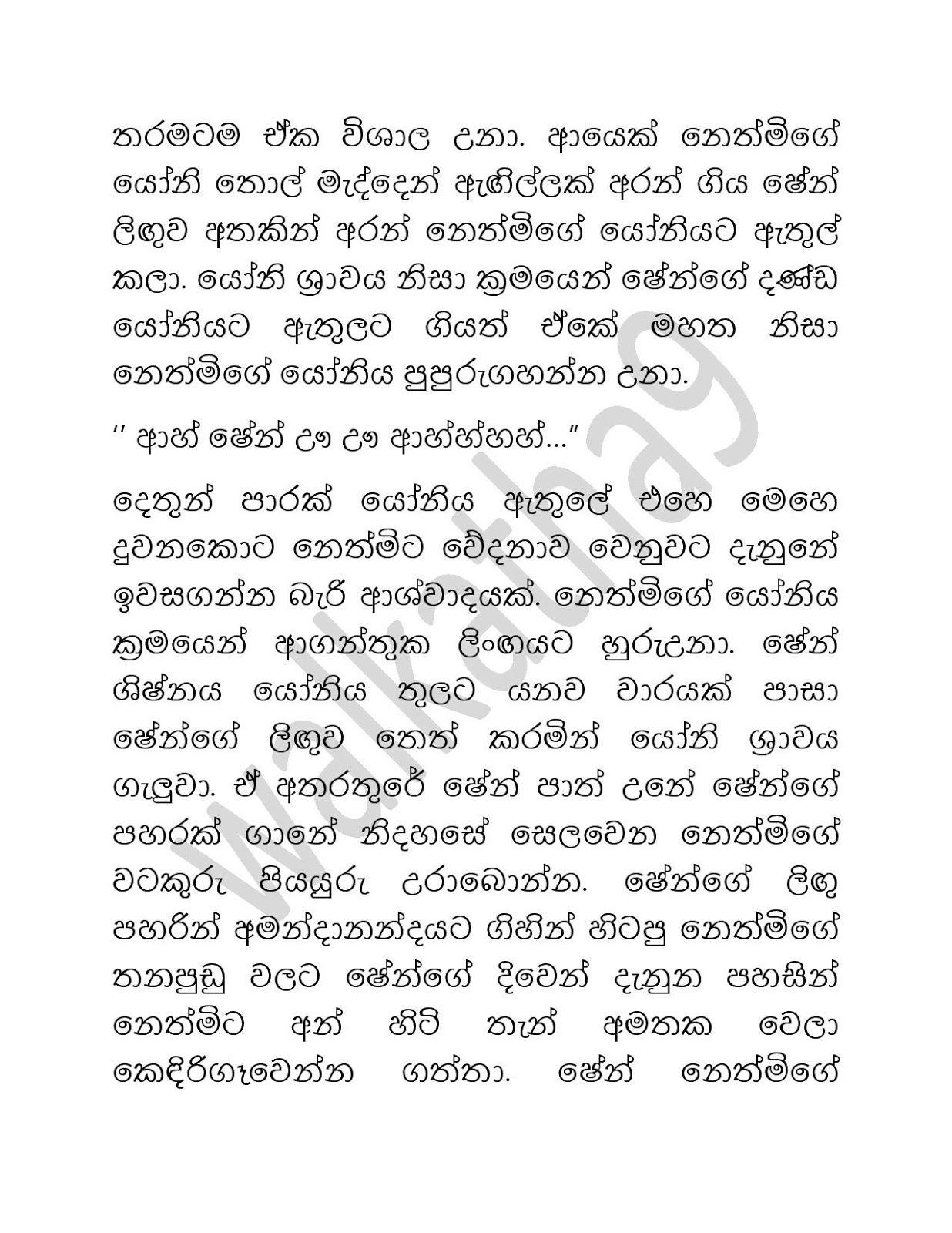 1712605513 647 Sihina+Ananthaya+06 page 013 walkatha9 Official සිංහල වල් කතා
