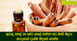 කුරුඳු තෙල් හා සේර තෙල් භාවිතා කර මැසි මදුරු කරදරෙන් දැන්ම නිදහස් වෙන්න.