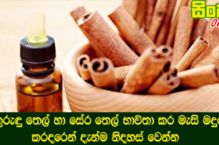 කුරුඳු තෙල් හා සේර තෙල් භාවිතා කර මැසි මදුරු කරදරෙන් දැන්ම නිදහස් වෙන්න.