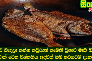 මාළු බැදල කන්න කවුරුත් කැමති වුනාට මාළු බැදලා කෑවොත් වෙන වින්නහිය අදවත් ඔබ හරියටම දැනගන්න.