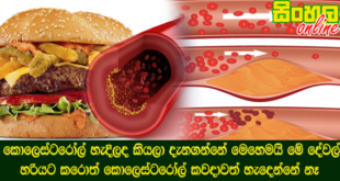 කොලෙස්ටරෝල් හැදිලද කියලා දැනගන්නේ මෙහෙමයි මේ දේවල් හරියට කරොත් කොලෙස්ටරෝල් කවදාවත් හැදෙන්නේ නෑ.
