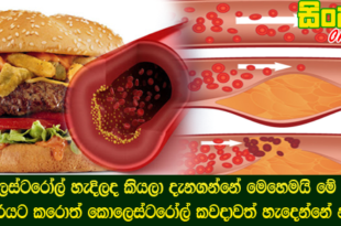 කොලෙස්ටරෝල් හැදිලද කියලා දැනගන්නේ මෙහෙමයි මේ දේවල් හරියට කරොත් කොලෙස්ටරෝල් කවදාවත් හැදෙන්නේ නෑ.
