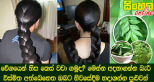 වේගයෙන් හිස කෙස් වවා ගමුද? මෙන්න අදහාගන්න බැරි විස්මිත අත්බෙහෙත ඔබට නිවසේදීම හදාගන්න පුළුවන්.