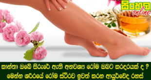 කාන්තා ඔබේ සිරුරේ ඇති අනවශ්‍ය රෝම ඔබට කරදරයක් ද ? මෙන්න ශරීරයේ රෝම ස්ථිරව ඉවත් කරන ආයුර්වේද රහස්.