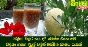 පිළිකා වලට භය ද? මෙන්න එහෙ නම් පිළිකා නසන දිවුල් වලින් විස්මිත ඖෂධ රැසක්.