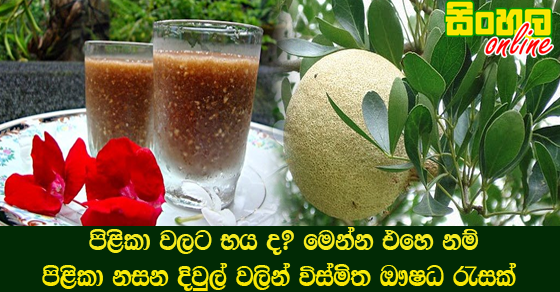 පිළිකා වලට භය ද? මෙන්න එහෙ නම් පිළිකා නසන දිවුල් වලින් විස්මිත ඖෂධ රැසක්.