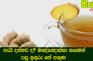 ඇයි දන්නව ද? මඤ්ඤොක්කා කෑමෙන් පසූ ඉගුරු තේ අගුණ.