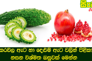 කරවිල ඇට හා දෙළුම් ඇට වලින් පිළිකා නසන විශ්මිත ඔසුවක් මෙන්න.