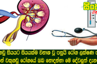 වකුගඩු සියයට සියයක්ම විනාශ වූ පසුයි රෝග ලක්ෂණ පහළ වෙන්නේ වකුගඩු රෝගයේ ඔබ නොදන්නා මේ දේවලුත් දැනගන්න.