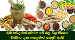 ඔබ කවදාවත් මෙන්න මේ ඔසු වල තියෙන විශ්මිත ගුණ අහලාවත් නැතුව ඇති.