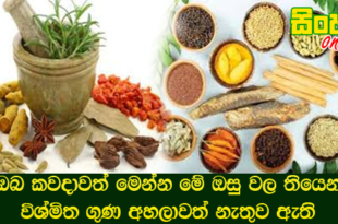 ඔබ කවදාවත් මෙන්න මේ ඔසු වල තියෙන විශ්මිත ගුණ අහලාවත් නැතුව ඇති.