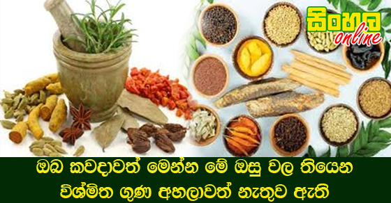 ඔබ කවදාවත් මෙන්න මේ ඔසු වල තියෙන විශ්මිත ගුණ අහලාවත් නැතුව ඇති. ඔබ කවදාවත් මෙන්න මේ ඔසු වල තියෙන විශ්මිත ගුණ අහලාවත් නැතුව ඇති.