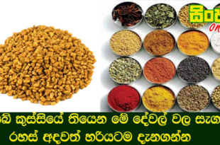 ඔබේ කුස්සියේ තියෙන මේ දේවල් වල සැගවුන රහස් අදවත් හරියටම දැනගන්න.
