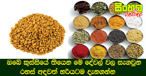 ඔබේ කුස්සියේ තියෙන මේ දේවල් වල සැගවුන රහස් අදවත් හරියටම දැනගන්න.