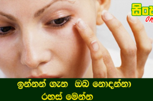 ඉන්නන් ගැන  ඔබ නොදන්නා රහස් මෙන්න.