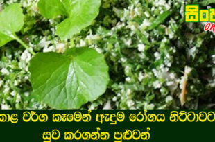 කොළ වර්ග කෑමෙන් ඇදුම රෝගය නිට්ටාවටම සුව කරගන්න පුළුවන්.