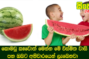කොමඩු කෑවොත් මෙන්න මේ විස්මිත වාසි පහ ඔබට අනිවාරයෙන් ලැබෙනවා.