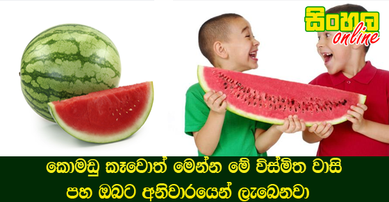 කොමඩු කෑවොත් මෙන්න මේ විස්මිත වාසි පහ ඔබට අනිවාරයෙන් ලැබෙනවා.
