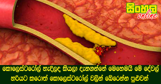 කොලෙස්ටරෝල් හැදිලද කියලා දැනගන්නේ මෙහෙමයි මේ දේවල් හරියට කරොත් කොලෙස්ටරෝල් වලින් බේරෙන්න පුළුවන්.