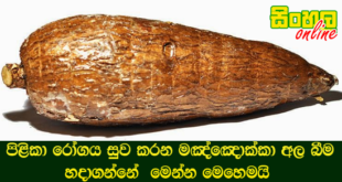 පිළිකා මර්දන හැකියාව සතු තවත් ස්වභාවික ආහාර වර්ග කිහිපයක්.