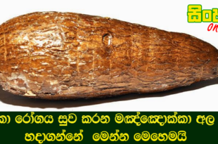පිළිකා මර්දන හැකියාව සතු තවත් ස්වභාවික ආහාර වර්ග කිහිපයක්.