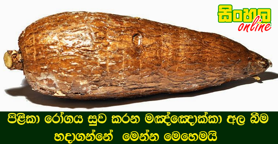 පිළිකා මර්දන හැකියාව සතු තවත් ස්වභාවික ආහාර වර්ග කිහිපයක්.