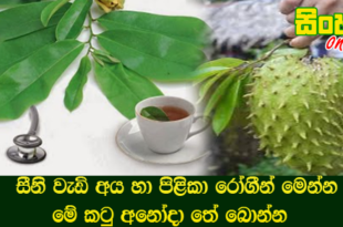 සීනි වැඩි අය හා පිළිකා රෝගීන් මෙන්න මේ කටු අනෝදා තේ බොන්න.
