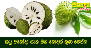 කටු අනෝදා ගැන ඔබ නොදත් ගුණ මෙන්න