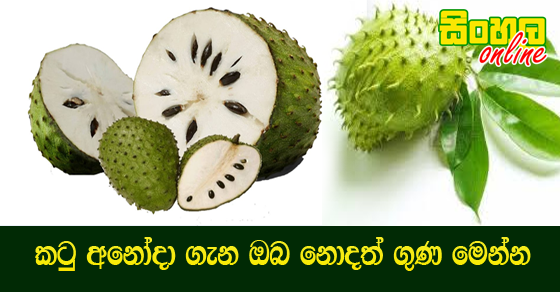 කටු අනෝදා ගැන ඔබ නොදත් ගුණ මෙන්න