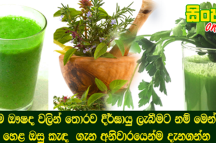 කෘතීම ඖෂද වලින් තොරව දීර්ඝායු ලැබීමට නම් මෙන්න මේ හෙළ ඔසු කැඳ  ගැන අනිවාරයෙන්ම දැනගන්න.