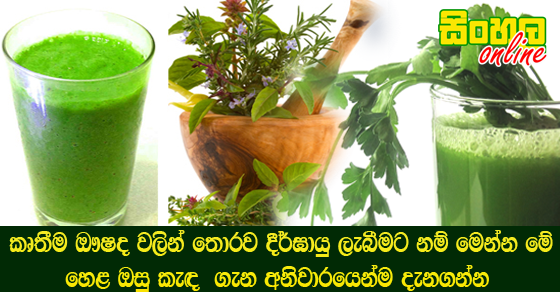 කෘතීම ඖෂද වලින් තොරව දීර්ඝායු ලැබීමට නම් මෙන්න මේ හෙළ ඔසු කැඳ  ගැන අනිවාරයෙන්ම දැනගන්න.