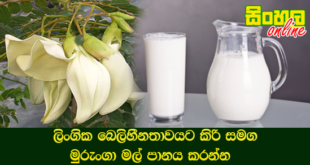 ලිංගික බෙලිහීනතාවයට කිරි සමග මුරුංගා මල් පානය කරන්න.