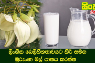ලිංගික බෙලිහීනතාවයට කිරි සමග මුරුංගා මල් පානය කරන්න.