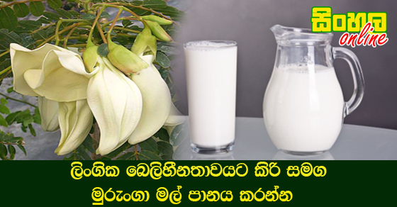 ලිංගික බෙලිහීනතාවයට කිරි සමග මුරුංගා මල් පානය කරන්න.
