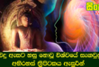 විදු ඇසට හසු නොවූ විශ්වයේ සැඟවුනු අභිරහස් ති‍්‍රපිටකය ඇසුරින්.