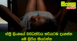 ස්ත්‍රී ලිංගයේ විවිධත්වය හරියටම දැගන්න මේ ලිපිය කියවන්න.
