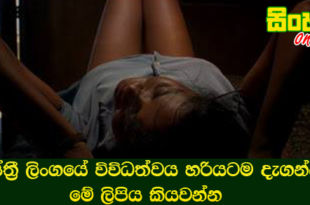 ස්ත්‍රී ලිංගයේ විවිධත්වය හරියටම දැගන්න මේ ලිපිය කියවන්න.