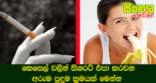 කෙසෙල් වලින් සිගරට් එපා කරවන අරුම පුදුම ක්‍රමයක් මෙන්න.