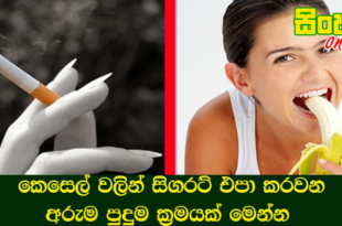 කෙසෙල් වලින් සිගරට් එපා කරවන අරුම පුදුම ක්‍රමයක් මෙන්න.