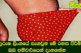 පුරුෂ ලිංගයේ සැගවුන මේ රහස පිරිමි ඔබ අනිවාර්යෙන් දැනගන්න.