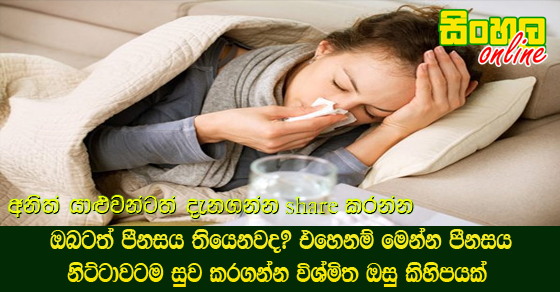 ඔබටත් පීනසය තියෙනවද? එහෙනම් මෙන්න පීනසය නිට්ටාවටම සුව කරගන්න විශ්මිත ඔසු කිහිපයක්.