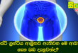 පුරස්ථි ග්‍රන්ථිය ආශ්‍රිතව ඇතිවන මේ ආබාධ ගැන ඔබ දැනුවත්ද?