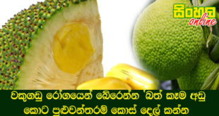 වකුගඩු රෝගයෙන් බේරෙන්න ‘බත් කෑම අඩු කොට පුළුවන්තරම් කොස් දෙල් කන්න.