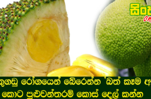 වකුගඩු රෝගයෙන් බේරෙන්න ‘බත් කෑම අඩු කොට පුළුවන්තරම් කොස් දෙල් කන්න.
