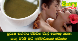 පුරුෂ ශක්තිය වඩවන වැල් පෙණල කොළ කැඳ පිරිමි ඔබ අනිවාර්යෙන් බොන්න.