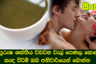 පුරුෂ ශක්තිය වඩවන වැල් පෙණල කොළ කැඳ පිරිමි ඔබ අනිවාර්යෙන් බොන්න.