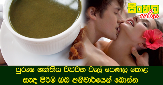 පුරුෂ ශක්තිය වඩවන වැල් පෙණල කොළ කැඳ පිරිමි ඔබ අනිවාර්යෙන් බොන්න.